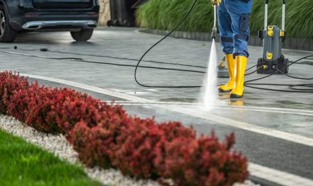 Best Soft Washing  in Martindale, TX